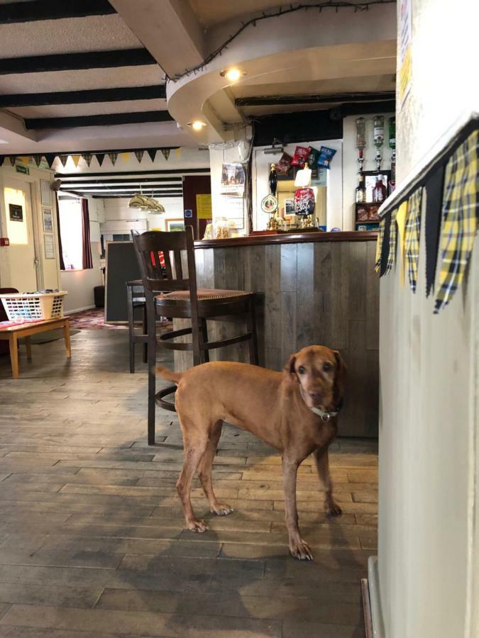 فندق The Kings Head Chacewater المظهر الخارجي الصورة